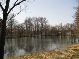 Vltava 6-rybník Labuť 7.4.10 (3).jpg